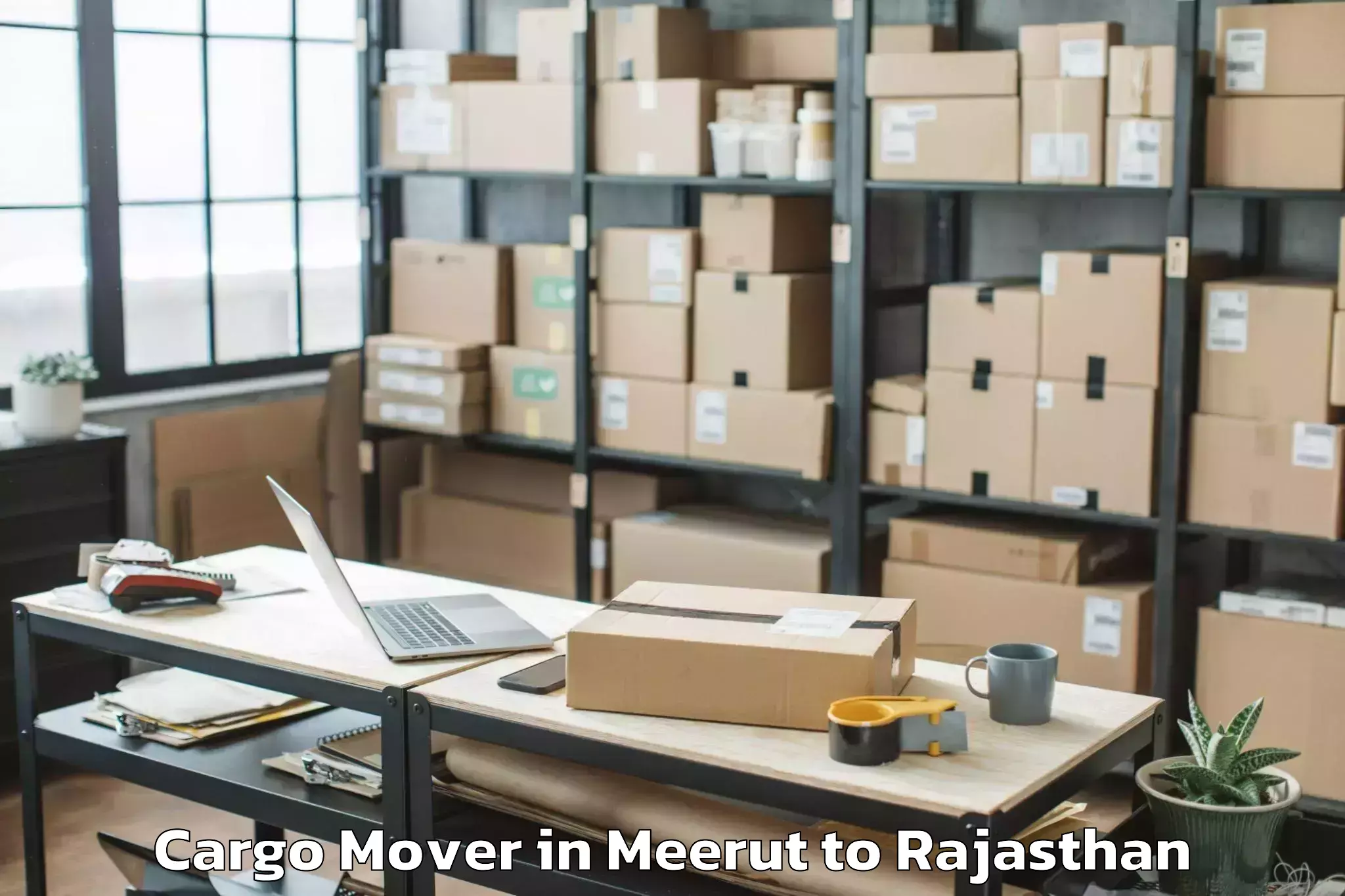 Affordable Meerut to Vallabhnagar Cargo Mover